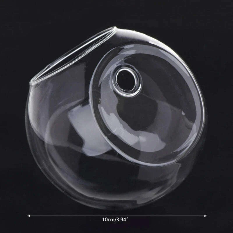 8cm/10cm/12cm Wall Hanging Hydroponic Glass Vase Small Hanging Fish Tank Wall Mount Glass Vase Landscape Decoration
