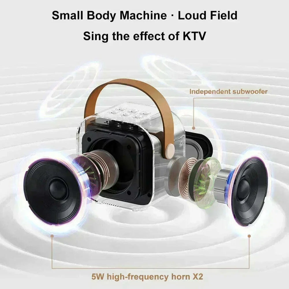 K12 Bluetooth Karaoke Machine Portable 5.3 PA Speaker System with 1-2 Wireless Microphones Home Family Singing Children's Gifts