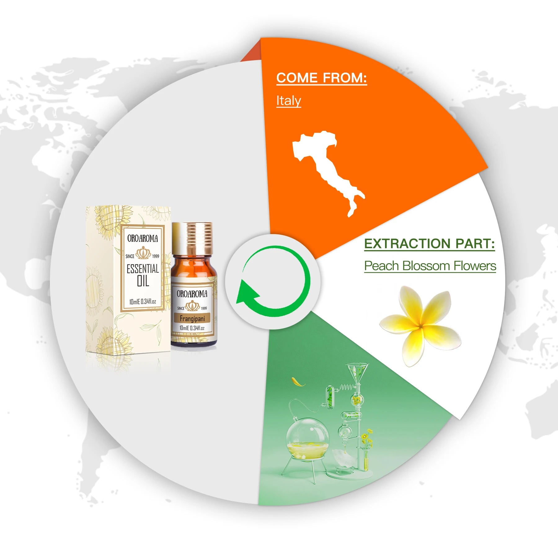 Oroaroma Frangipani Essential Oil for Aromatherapy and Body Care â Perfect for Present Giving ZZ | Kimlud Mid Range Rug