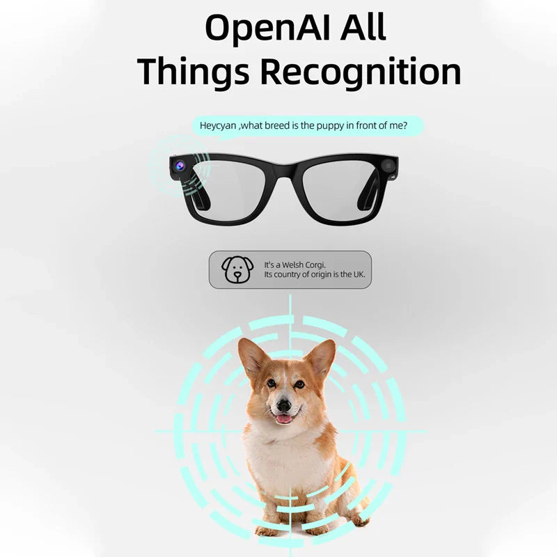 Xiaomi G300 Smart AI Glasses 800W pixel AI Shooting Camera HD Photo Video Voice Call Translation Waterproof Bluetooth Glasses