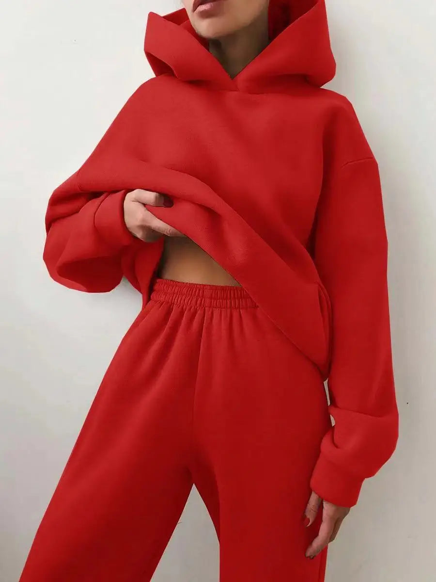 Winter Two Piece Sets Women Tracksuit Oversized Suit 2021 Autumn Trouser Suits Female Sweatshirt Solid Sports Hoodie...