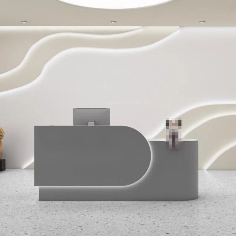 Best Organizers Reception Desks Design Display Drawer Beauty Reception Desks White Led Lights Comptoire Accueil Trendy Furniture