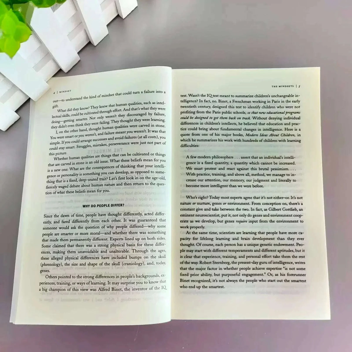 Mindset The New Psychology Of Success English Book by Carol S. Dweck Foreign Literature Inspirational Book