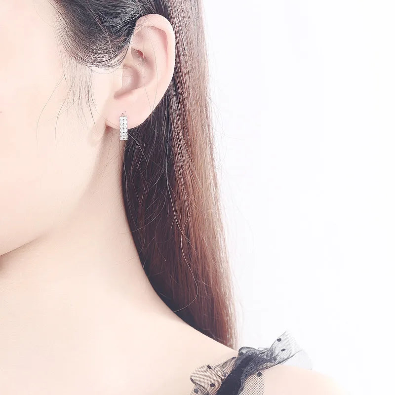 JewelryTop store 925 Sterling silver needle Earrings Fashion High Quality Jewelry Double Row Crystal Zircon Round Stud - Kimlud