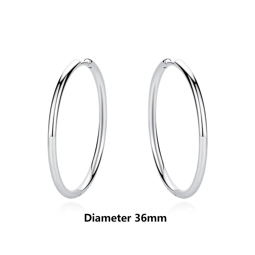 Original 925 Sterling Silver Earrings 2026 Stud Hoop Crystal Earings For Women Rose Gold Crown Heart Infinity Bee Earing...