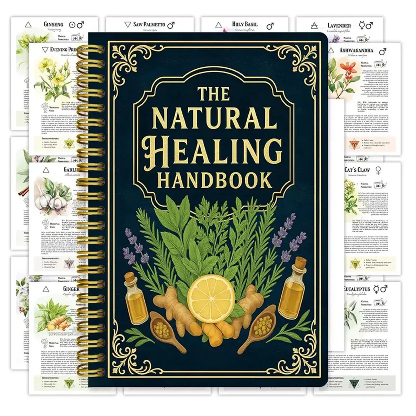 Natural Healing Guide Spiral Bound Herbal Book with Step-by-Step Recipes for Heart Health Blood Pressure and Focus Enhancement