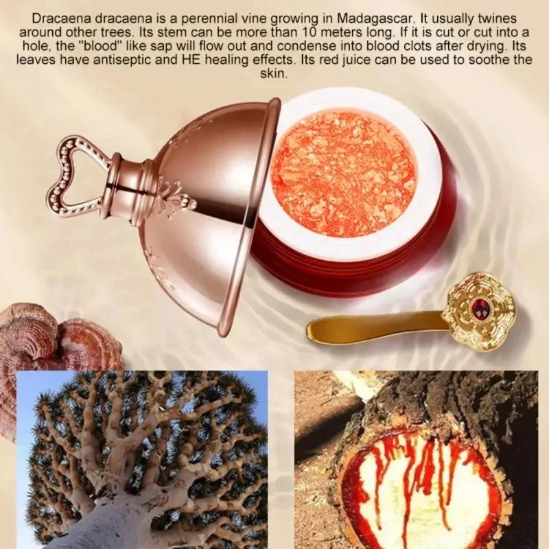 Dragon's Blood Face Cream Retinol Placenta Essence Brightening Lift Firming Skin Care Korean Cosmetics | Kimlud Budget...