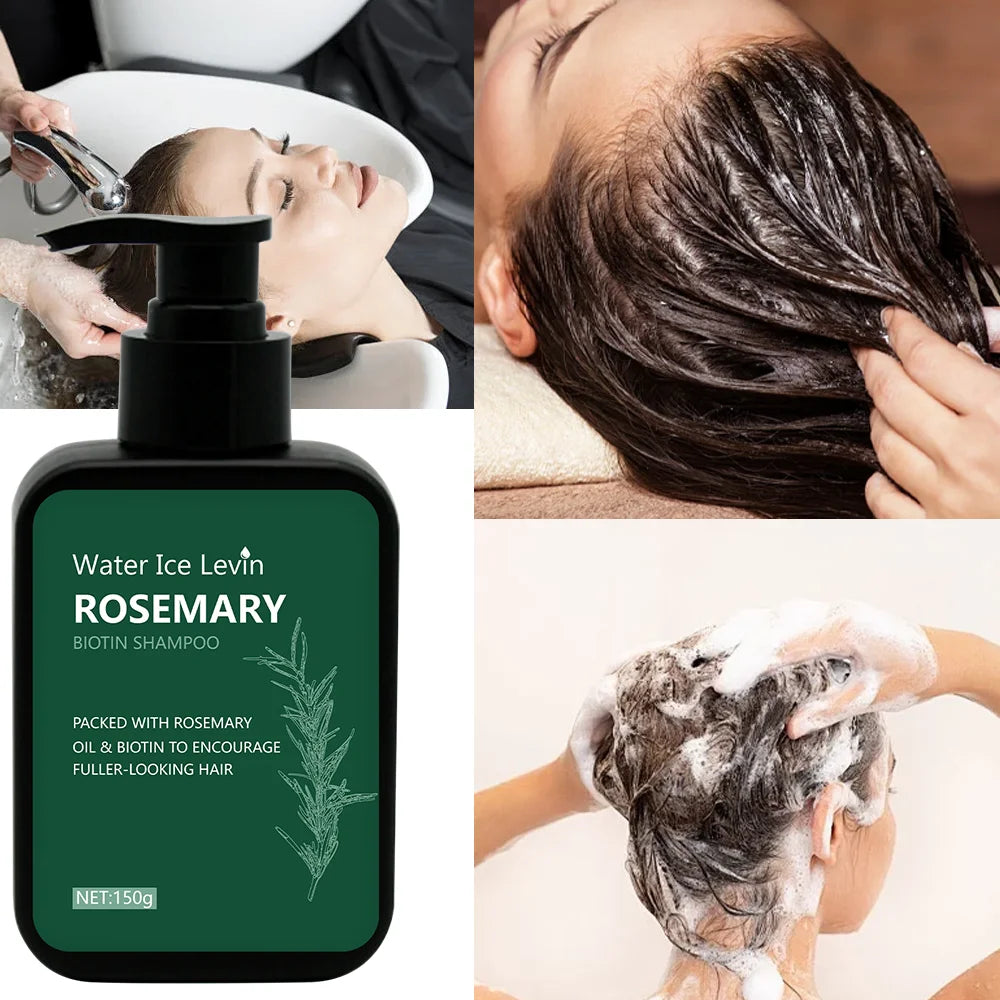 Rosemary Biotin Shampoo Hair Growth Deep Cleansing Scalp Care Oil Control Strengthening Hair Root Shampoo 150ml | Kimlud...