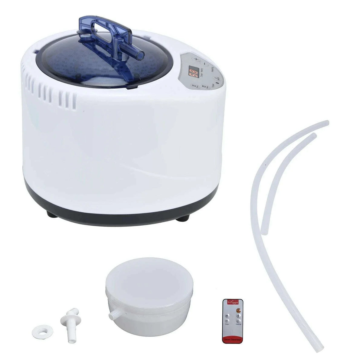 1000W Sauna Steamer Pot Machine Portable Sauna Steam Generator Fumigation Machine for Home Spa