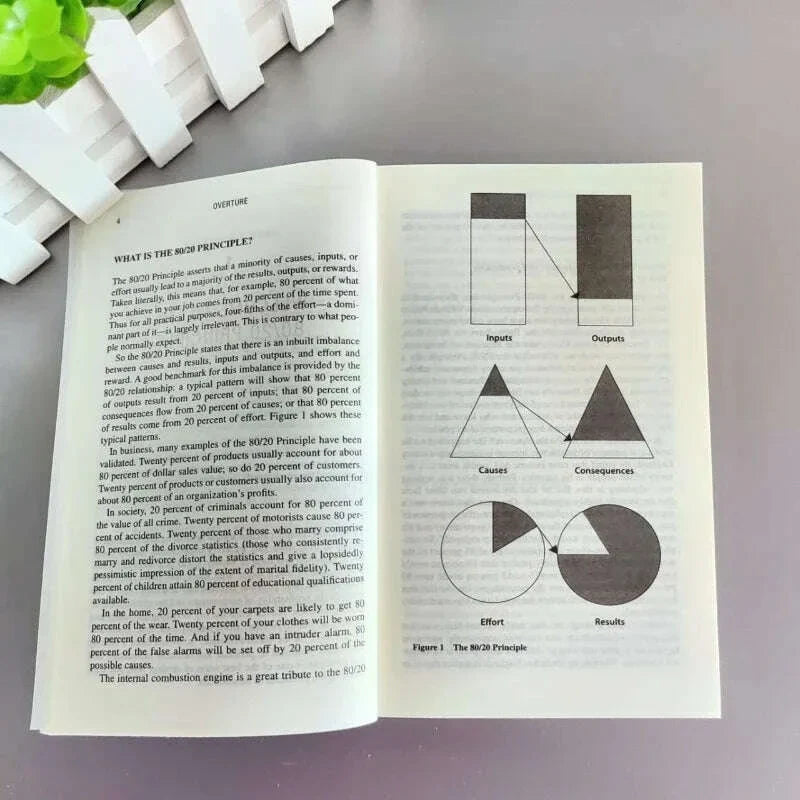 The 80/20 Principle By Richard Koch The Secret To Achieving More with Less Novel Paperback In English