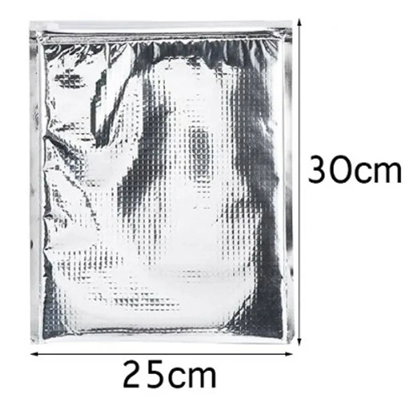Relchoor 5pcs Insulated Food Storage Bag Aluminum Foil Insulated Reusable Bag Thermal Cooler Silver Outdoor Kitchen Food Bags