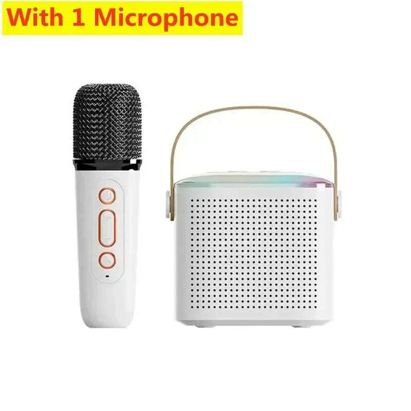 Y1 Wireless Dual Microphones Karaoke Machine KTV DSP System Bluetooth 5.3 PA Speaker HIFI Stereo Surround RGB Colorful LED Light
