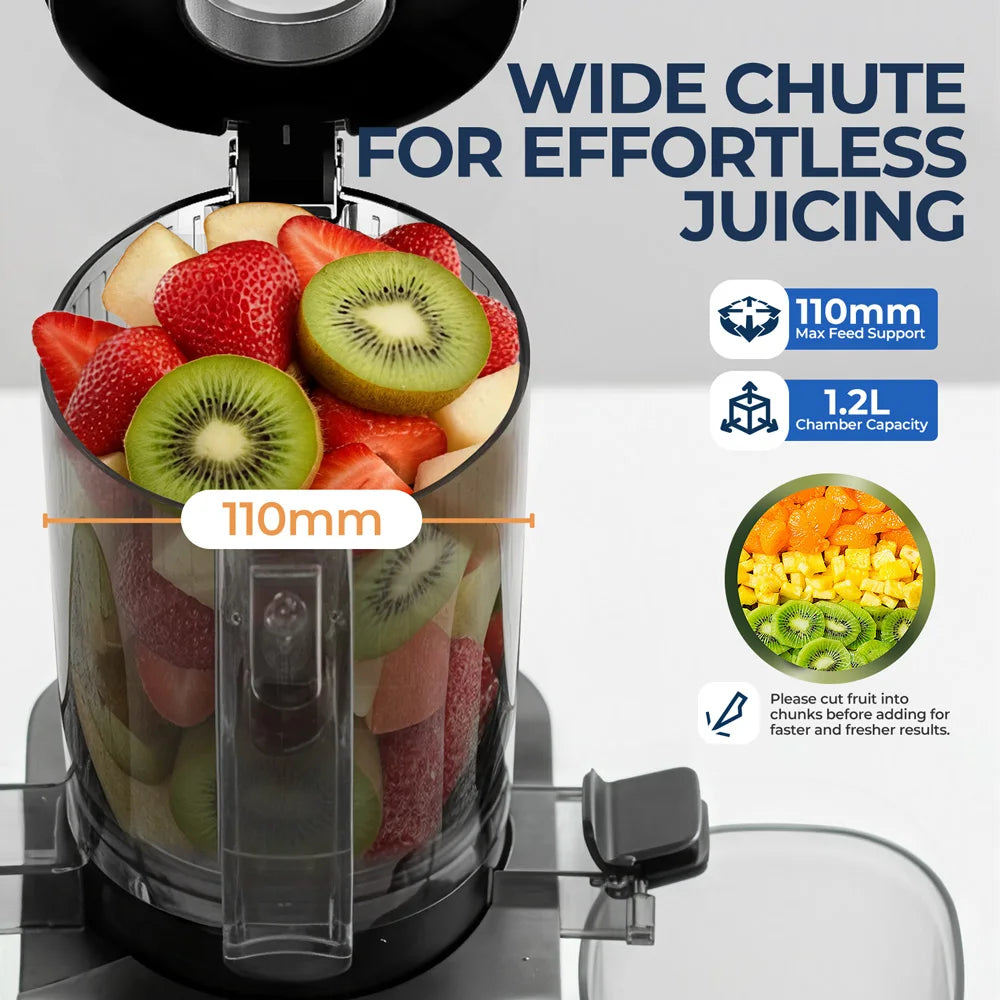 ROUNY Cold Press Extractor with Filter-Free, Easy Clean Electric Fruit Slow Juicer Machine with Large Feed Caliber, Black