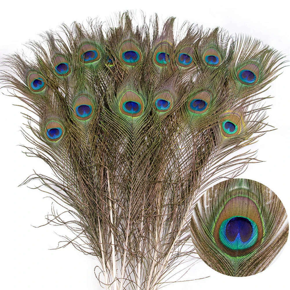 10PCS Real Peacock Feather 25-50cm for DIY Craft Jewelry Vase Table Decor Plume stage perform Wedding clothing Dress Accessories
