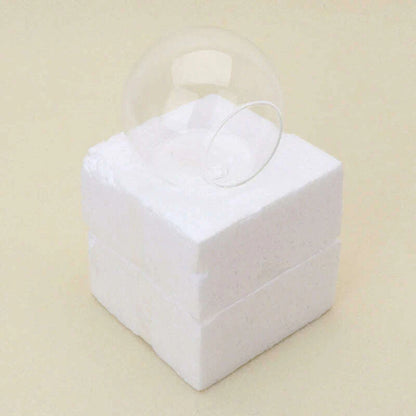 8cm/10cm/12cm Wall Hanging Hydroponic Glass Vase Small Hanging Fish Tank Wall Mount Glass Vase Landscape Decoration