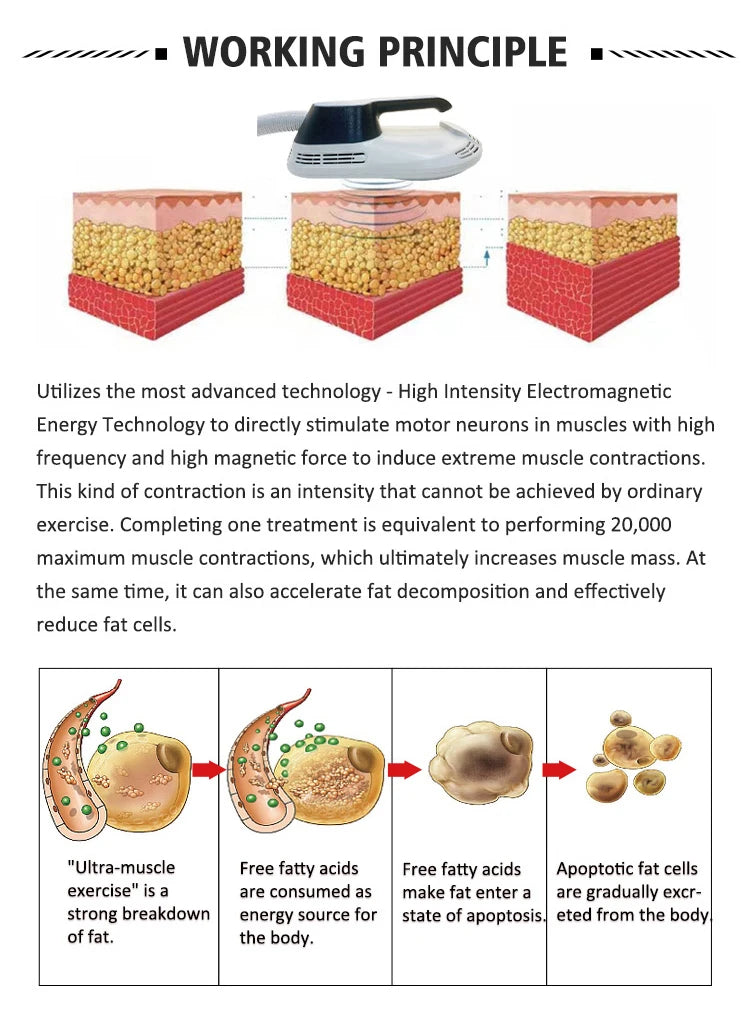 Hot Selling Professional High Frequency Shaping Body Whole Body Muscle Lifting Tightening Beauty Medical Machine