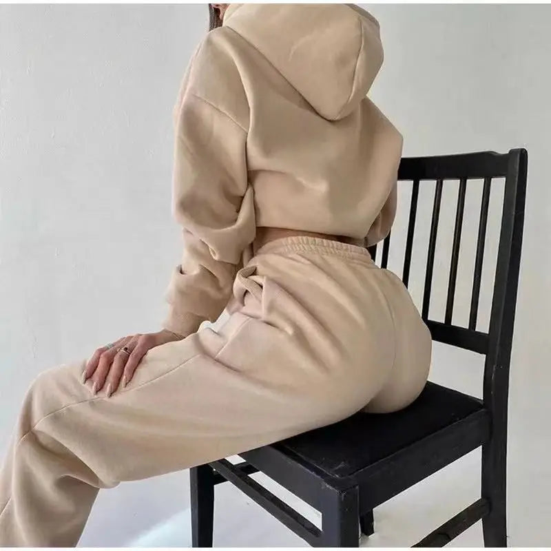 Winter Two Piece Sets Women Tracksuit Oversized Suit 2021 Autumn Trouser Suits Female Sweatshirt Solid Sports Hoodie...