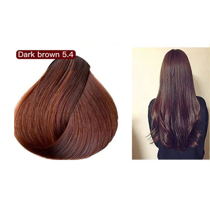 Mokeru Natural Fast Coloring Argan Oil For Hair Dark Brown Argan Speedy Hair Color Shampoo for Gray Hair Dye Shampoo |...