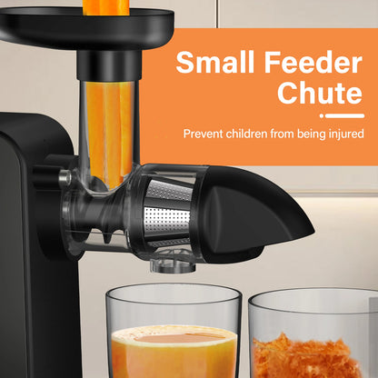 WHALL Slow Masticating Juicer, Cold Press Juicer, Slow Juicer for Home Use.