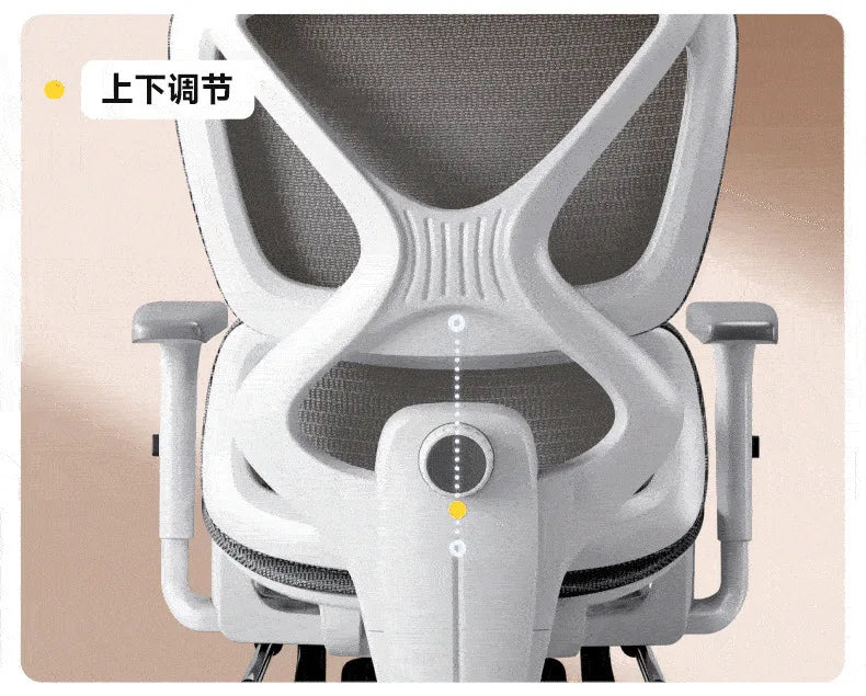 Ergonomic Office Chair with Adjustable Lumbar Support Breathable Reclining Desk Chair for Home Long Sitting Sturdy &...