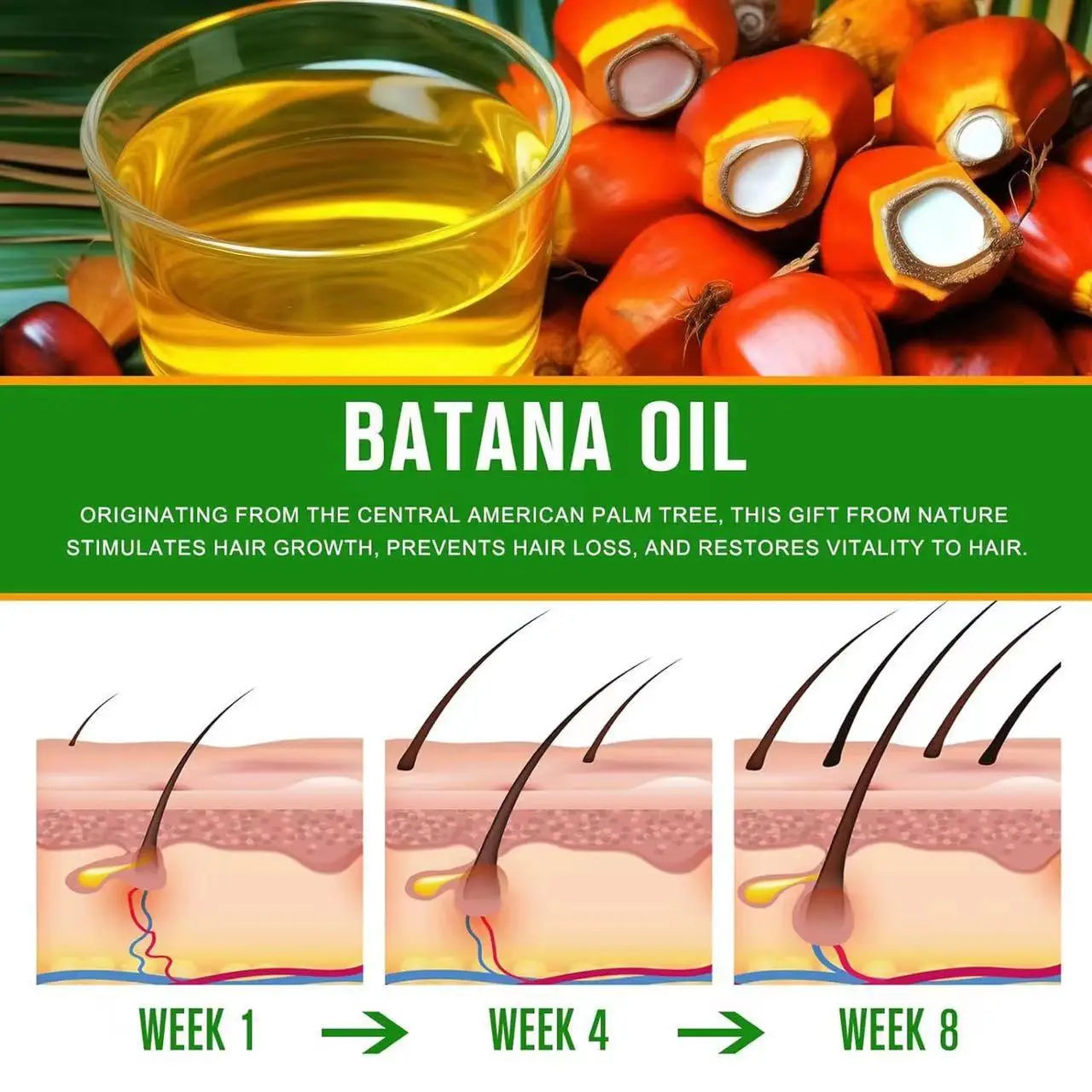 Raw Batana Oil for Hair Growth 100% Natural Can Prevent Hair Loss in Both Men and Women Increase Hair Thickness and...