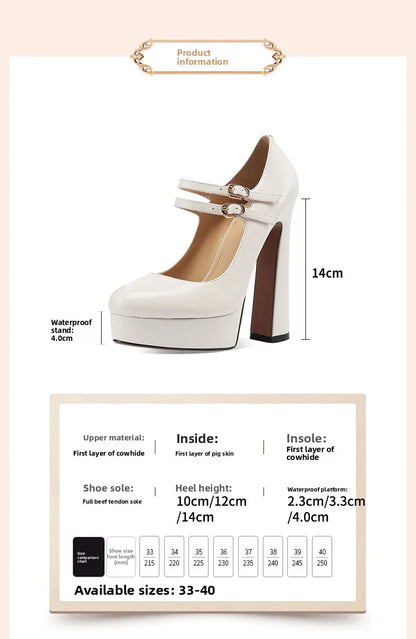 Arden Furtado Spring Beige Cowhide Platform High-Heeled Shoes Round Toe Chunky Heels Double-Row Buckle Pumps Mary Jane Shoes