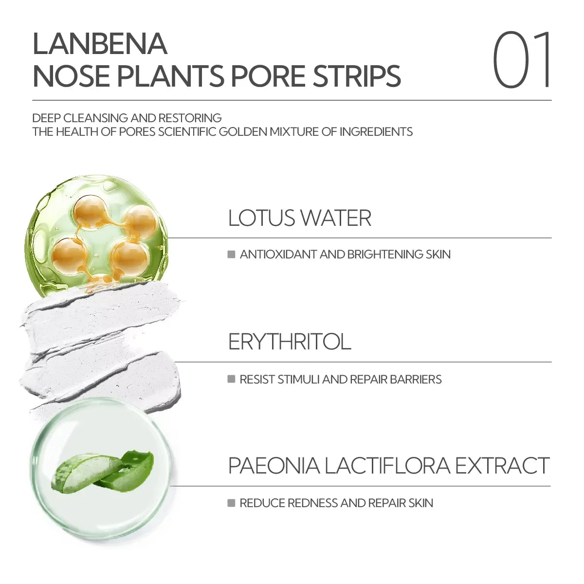 LANBENA Blackhead-Removing Mud Mask Pore-Shrinking Essence Toner Set | Kimlud Premium Lanbena