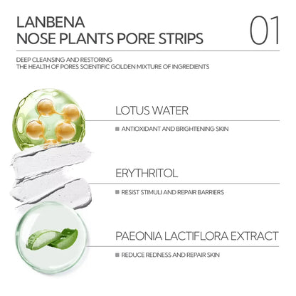 LANBENA Blackhead-Removing Mud Mask Pore-Shrinking Essence Toner Set | Kimlud Premium Lanbena
