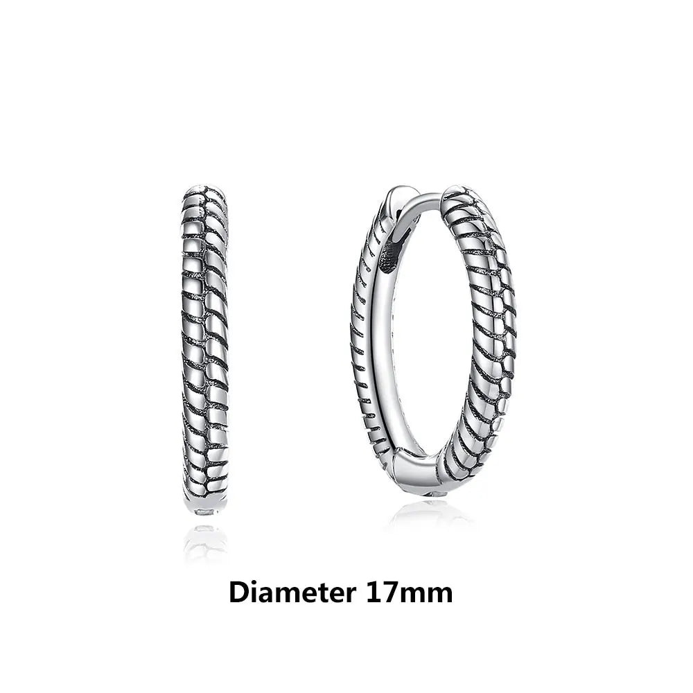 Original 925 Sterling Silver Earrings 2026 Stud Hoop Crystal Earings For Women Rose Gold Crown Heart Infinity Bee Earing...