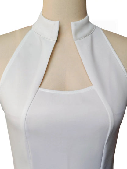 Elegant Sleeveless Neckline Gown Stand Collar Knee-Length Slim Fit Dress for Women Holiday Parties Spring Summer New...
