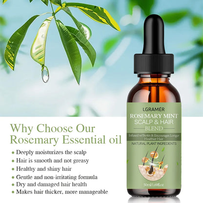 Hair Growth Essential Oil Rosemary Mint Hair Strengthening Oil Nourishing Treatment For Split Ends Dry Organics Hair Care Oil - Kimlud