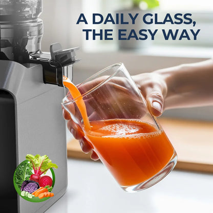 ROUNY Cold Press Extractor with Filter-Free, Easy Clean Electric Fruit Slow Juicer Machine with Large Feed Caliber,  Black