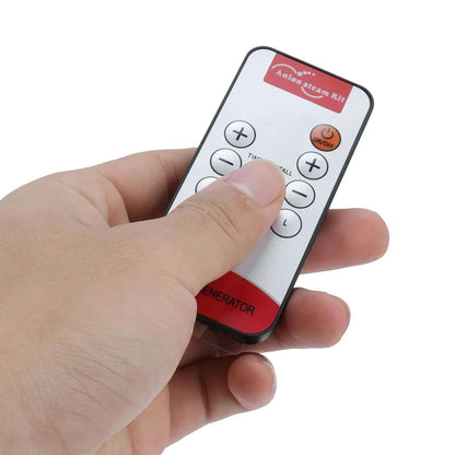 1000W Household Sauna Steamer Pot 2.0L Portable Sweat Spa Steam Pot for Body Detox Body Relaxation Supplies