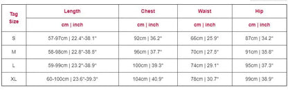 Sport Plaid Patchwork Long Sve Set Women's Casual Sportswear Polyester Fabric Zipper Closure Long Pants Two-Piece Set