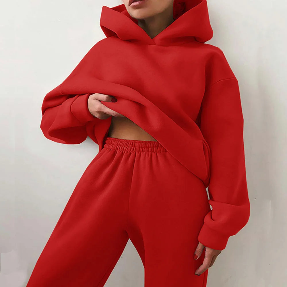 2 Pieces Set Women New Fashion Leisure Autumn Winter Pure Color Fleece Hooded two-piece Sports Suits Dropshipping LKX21660