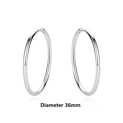 Original 925 Sterling Silver Earrings 2026 Stud Hoop Crystal Earings For Women Rose Gold Crown Heart Infinity Bee Earing...