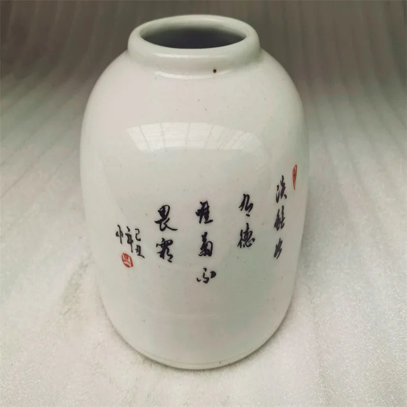 Chinese Old Porcelain Vase Pastel Flower & Bird Pattern Storage Jar Antique Collectible Decorative Piece