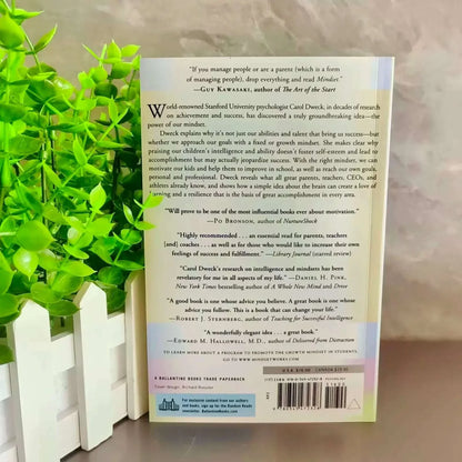Mindset The New Psychology Of Success English Book by Carol S. Dweck Foreign Literature Inspirational Book