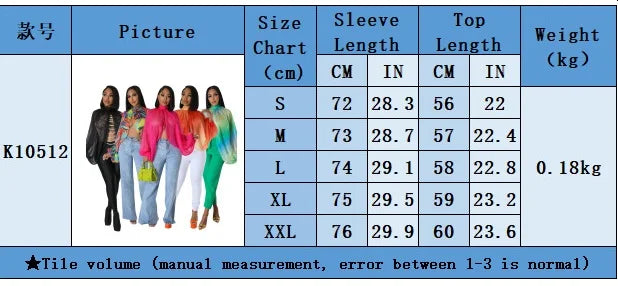 Women See Through Sheer Chiffon Blouse Sexy Front Back Open High Neck Self Tie Shawl Casual Shirts Y2K Night Club Party Tops