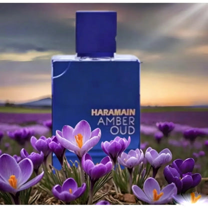 Al Haramain Amber Oud , The deep purple bottle captures the Dubai night sky, with saffron and amber interweaving warmth, ebony and sandalwood blending mysteriously, creating the luxurious and elegant night fragrance of the de - Kimlud