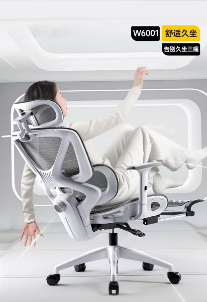 Ergonomic Office Chair with Adjustable Lumbar Support Breathable Reclining Desk Chair for Home Long Sitting Sturdy &...