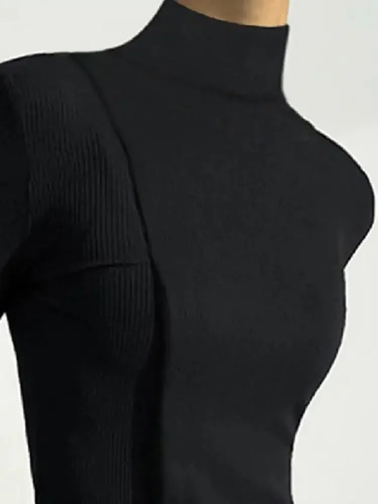 Bonboho Women's Simple Solid Black Long Sleeve T-shirt High Neck Slim Fit Pullover Tops Autumn Fashion Shirts for Urban Female