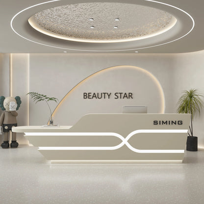 Organizers Company Reception Desks Luxury White Led Lights Reception Desks Welcome Minimalist Comptoire Accueil Trendy Furniture