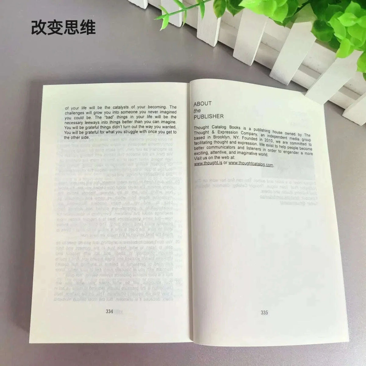 101 Essays That Will Change The Way You Think Paperback English Book