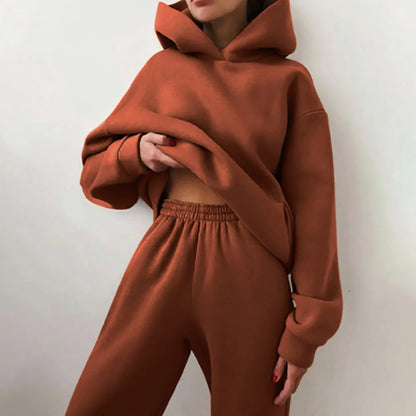 2 Pieces Set Women New Fashion Leisure Autumn Winter Pure Color Fleece Hooded two-piece Sports Suits Dropshipping LKX21660