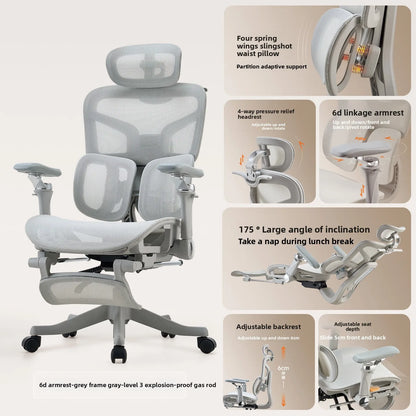 Esports Ergonomic Lift Chair Bedroom 6D Armrest Lumbar Support Computer Chair Household Comfortable Office Backrest Chair - Kimlud