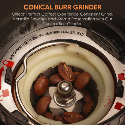 BioloMix Professional Conical Burr Grinder 48 Adjustable Settings with Removable Holder for Espresso Drip and French...