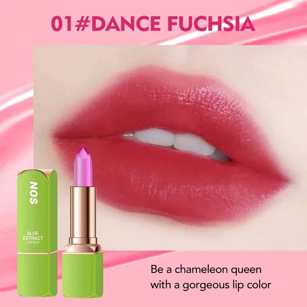 Colorful Lipstick Lipstick Waterproof Long-lasting Non Smudging Moisturizing Natural Lip Gloss Female Makeup