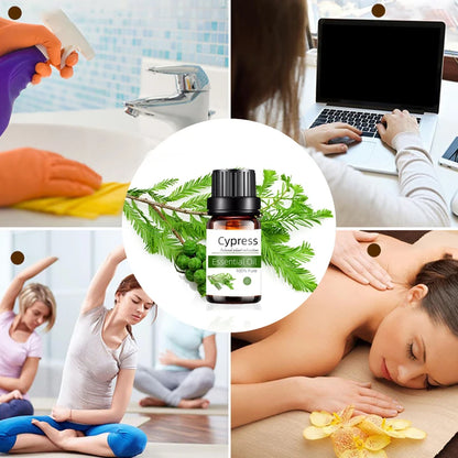 10ml Organic Aroma Essential Oil 100% Pure Green Tea Neroli Fragrance Oil Bulk for Candles Soap Making Fragrance Oil