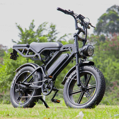 2025 V20 3.0 ebike pro electric bike 1000W 48V 15AH electric bicycle Hydraulic brake Integrated wheel snow 20*4.0 tire fatbike